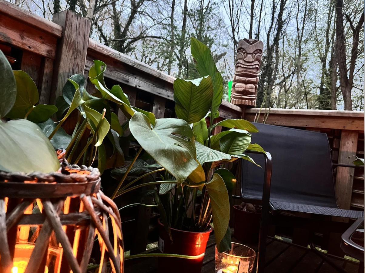 Tiki House M-Home-Climatise - Belle Parcelle ! Saint-Cheron Ngoại thất bức ảnh